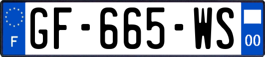GF-665-WS
