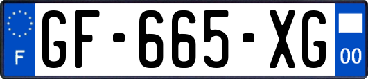 GF-665-XG