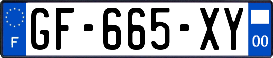 GF-665-XY