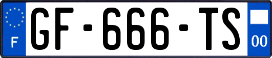 GF-666-TS