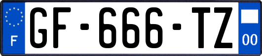 GF-666-TZ