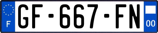 GF-667-FN