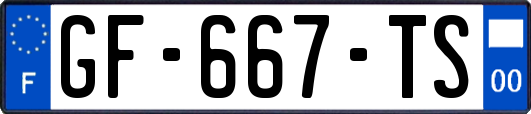 GF-667-TS