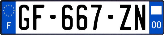 GF-667-ZN