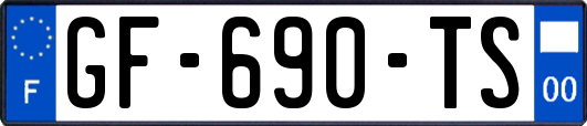 GF-690-TS