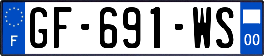 GF-691-WS