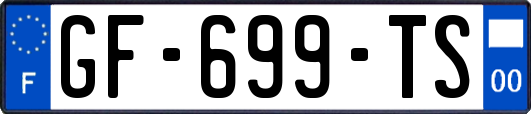 GF-699-TS