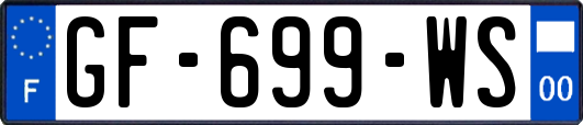 GF-699-WS