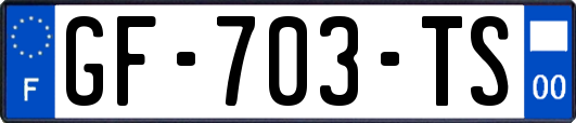 GF-703-TS