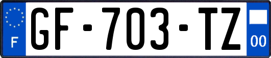 GF-703-TZ