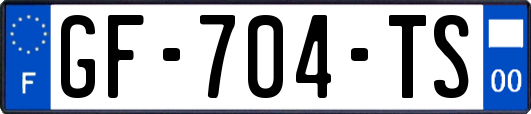 GF-704-TS