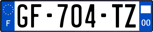 GF-704-TZ