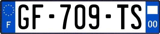 GF-709-TS