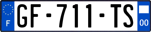 GF-711-TS