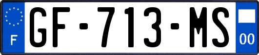 GF-713-MS