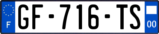 GF-716-TS