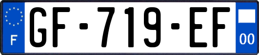 GF-719-EF