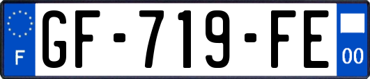 GF-719-FE