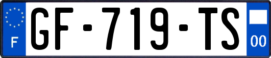 GF-719-TS