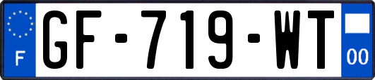 GF-719-WT