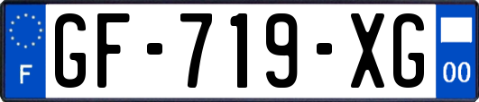 GF-719-XG