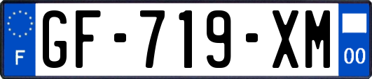 GF-719-XM