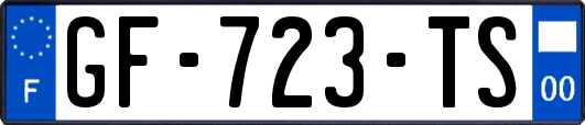 GF-723-TS