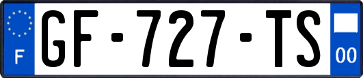 GF-727-TS