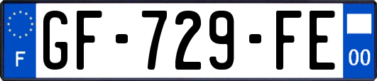 GF-729-FE