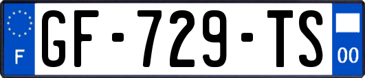 GF-729-TS