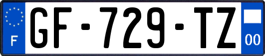 GF-729-TZ