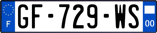 GF-729-WS