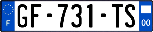 GF-731-TS