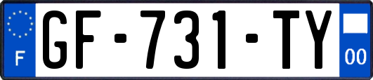GF-731-TY