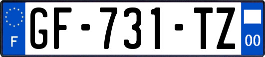 GF-731-TZ