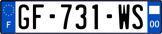 GF-731-WS