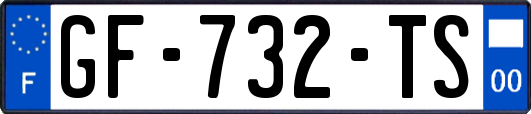 GF-732-TS