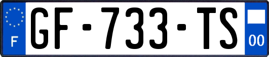 GF-733-TS