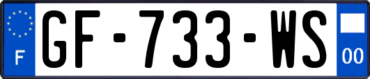 GF-733-WS