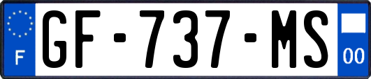 GF-737-MS