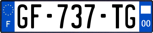 GF-737-TG