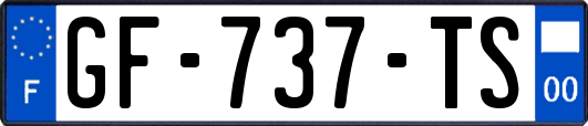 GF-737-TS