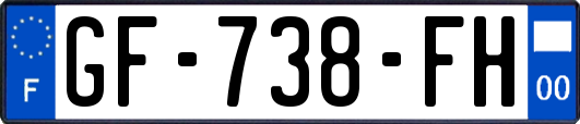 GF-738-FH