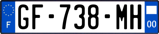 GF-738-MH