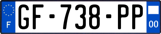 GF-738-PP