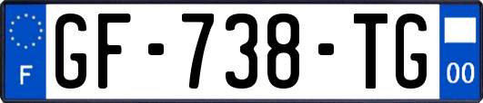 GF-738-TG