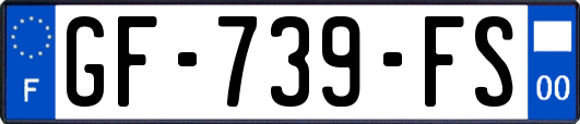 GF-739-FS