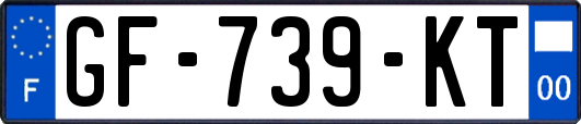 GF-739-KT