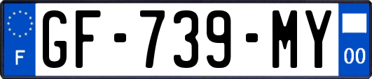 GF-739-MY