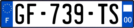 GF-739-TS